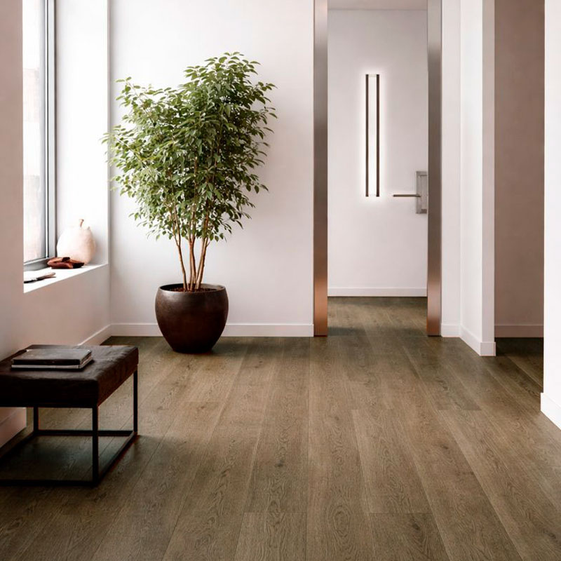 Dioco_excellent_soller